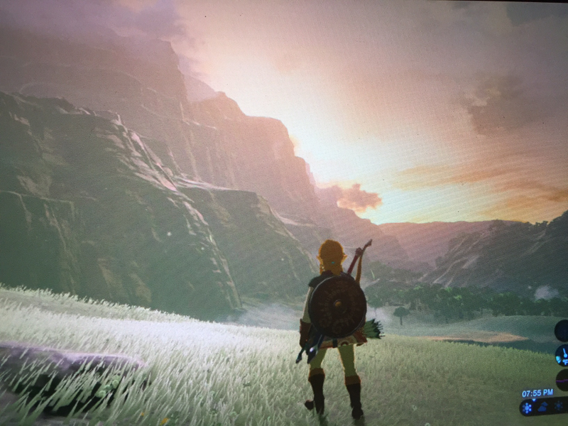 Illustration for article titled Here are Some of my Favorite Screenshots from The Legend of Zelda: Breath of the Wild